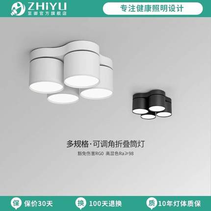 至御双头明装筒灯led吸顶式灯可调三头四头天花灯客厅无主灯012