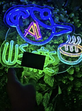 精选明星应援手举牌班级姓名牌毕业快乐灯牌手机相机背夹insled霓