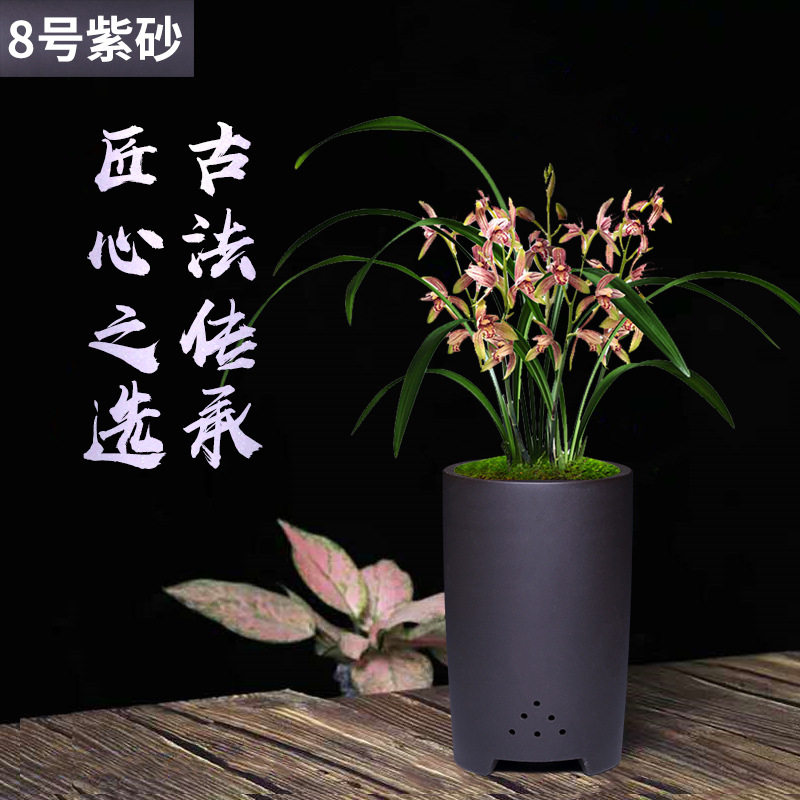 兰花花盆陶瓷高端圆形直筒大号兰草吊兰君子兰墨兰专用紫砂盆精品