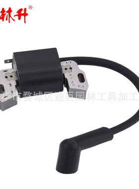 林升593872 点火线圈798534 799582 595009 08P502 09P602 09P702