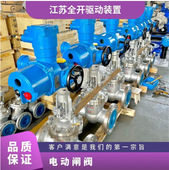 40P 矿用隔爆兼本安型一体式 不锈钢电动闸阀MZ941W DN100