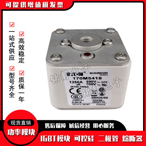 熔断器保险丝170M5444 170M5445 170M5446 170M5447 170M5448