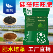 硅藻藻种肥水培藻水产养殖虾蟹鱼塘水产复合高活性硅藻种生物肥水