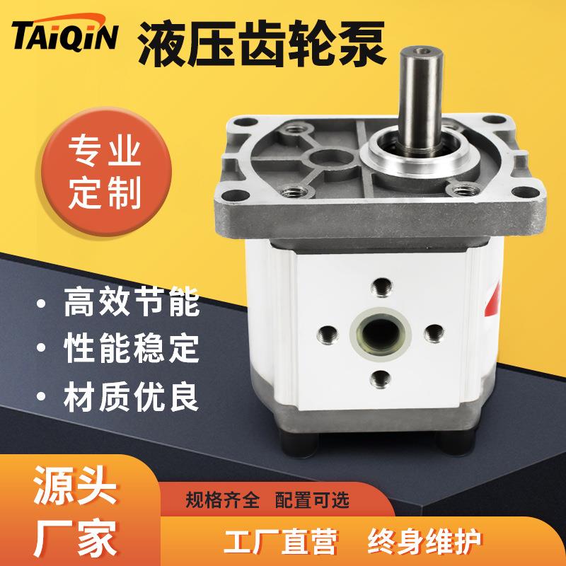 CBN系列高压齿轮泵液压油泵低噪音卧式平键右旋20Mpa齿轮泵