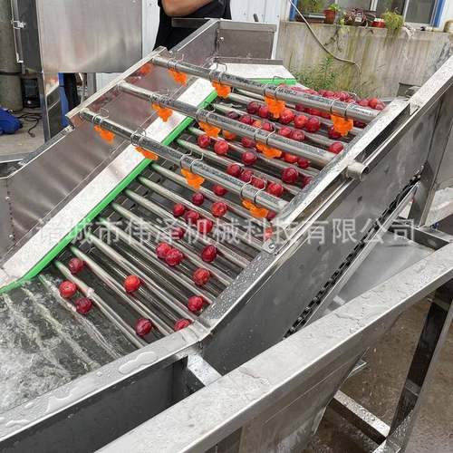 全自动果蔬气泡清洗机胡萝卜大枣滚杠式清洗设备净菜清洗机器
