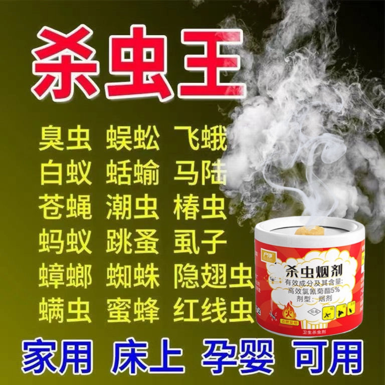 杀虫神器剂虫卵双杀家用室内非无毒灭蚊烟雾弹全窝端臭虫蟑螂跳蚤