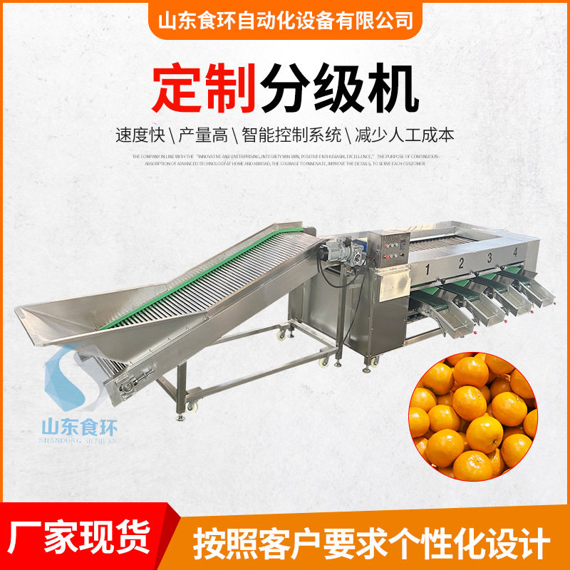 全自动桃子李子分选机滚杠式水果红薯干承台设备芒果分级机