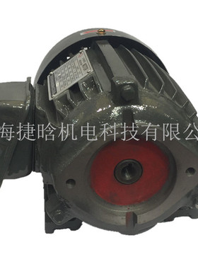YTY-802-4内轴0.75KW直插式油泵电机 3-PHASE INDUCTION