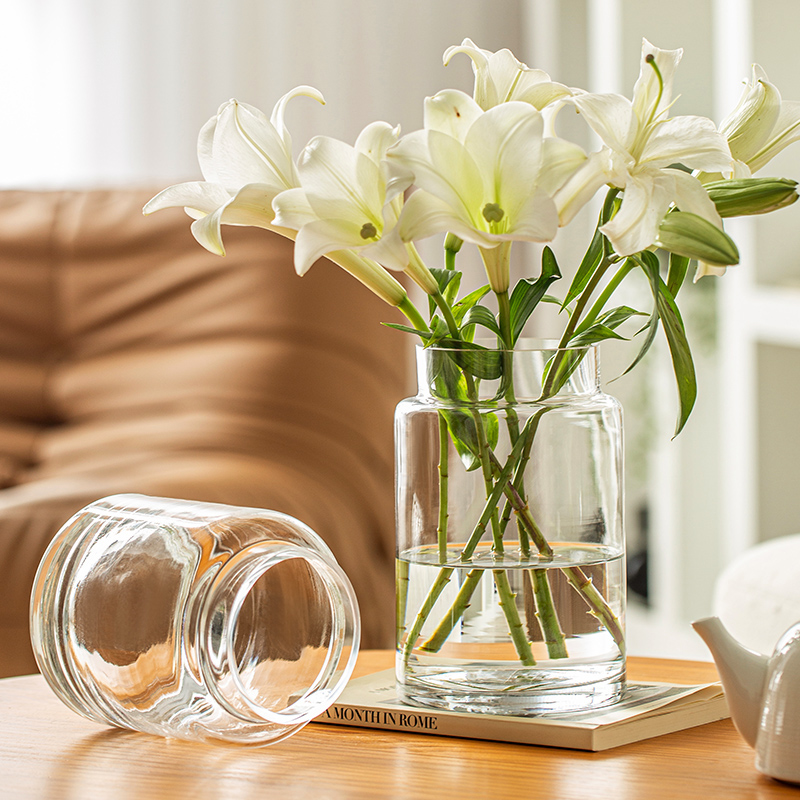 花瓶摆件客厅插花玫瑰玻璃透明水养水培百合宽口大口径现代简约矮