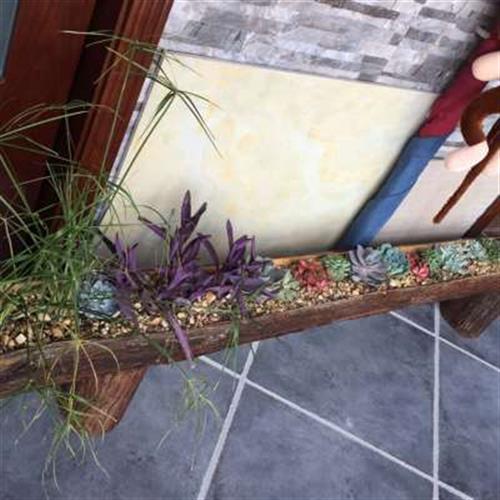 多肉花盆大号长花盆植物原木木制木槽实木木盆悬挂平放阳台种菜