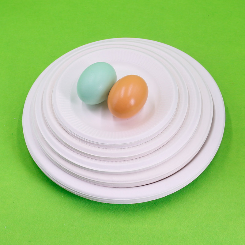 好货一次性纸盘子绘画幼儿园手工生日蛋糕叉烧烤装食品圆形白加厚
