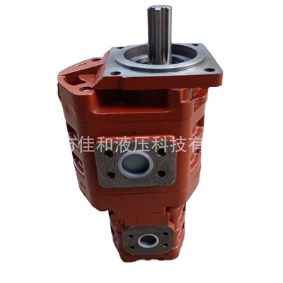 徐工配套用齿轮泵 CBGJ3100/1010/XF 装载机转向泵 铸铁双联泵