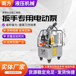 扳手专用电动泵电动油泵液压扭力泵NP 204型液压泵高压泵站液压站