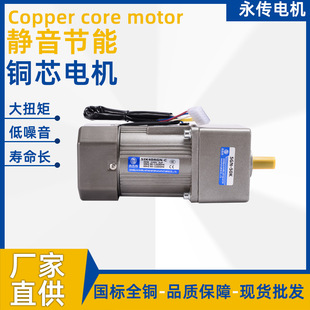 卧式 40W光轴电机5IK40GNC鑫永传齿轮减速机厂家现货电机