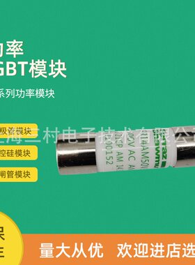 全新熔断器保险丝FR10AM69V8 M302783 FR10AM69V10 N302784