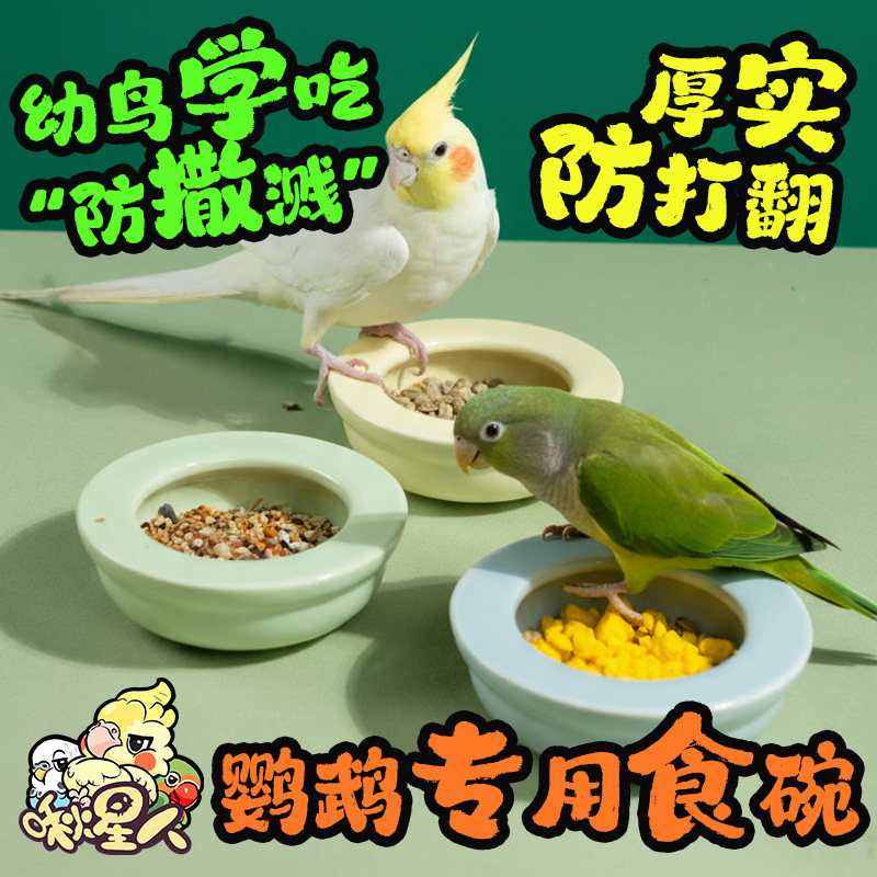 啾星人鹦鹉食盒陶瓷牡丹幼鸟学吃