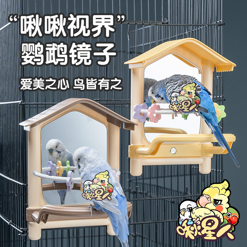 鹦鹉梳洗造景解闷玩具镜子