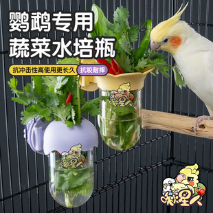 鹦鹉水培瓶蔬菜豆苗保鲜罐玄凤牡丹和尚花插水果喂食器用品配件