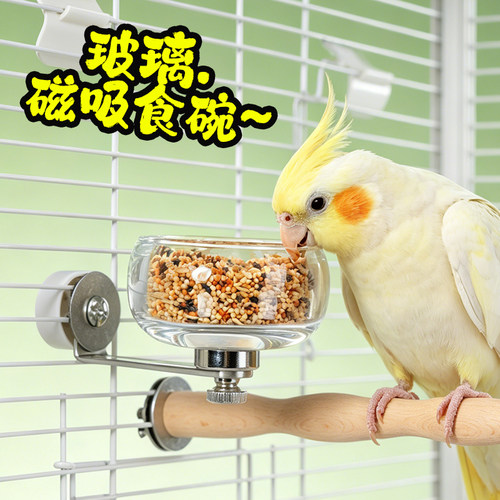 啾星人磁吸玻璃鹦鹉食碗防溅打翻