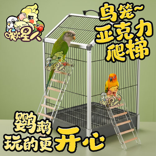 啾星人鹦鹉梯子鸟玩具攀爬玩耍