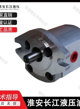 淮安长江齿轮泵RGP-F106/F111/F113/F116/F201/F202/F203精装油泵