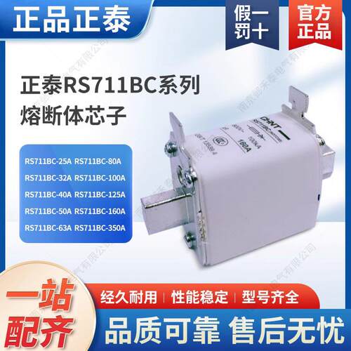 快速熔断器体陶瓷保险丝芯子RS711BC NGTC00 160A125A100A63A