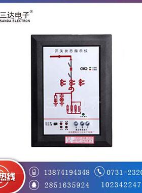 DIX500开关状态指示仪DIX500图片