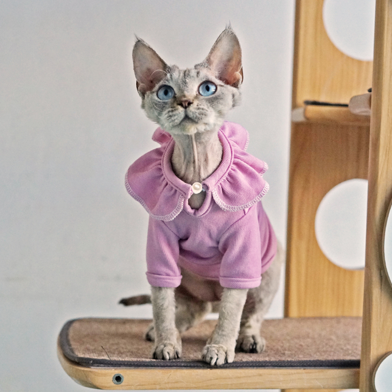 新品无毛猫衣服春秋纯棉弹力粉紫色花瓣领衣服耐舔斯芬克斯德文卷