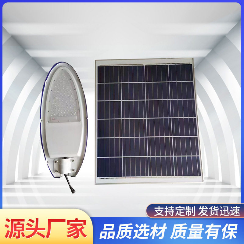 30WLED路灯灯头12V/220V