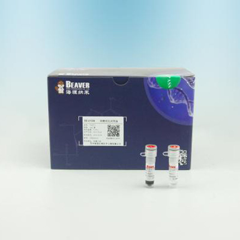 22309-10海狸10ml链霉亲和素磁珠(2.8μm) 10 mg/mL