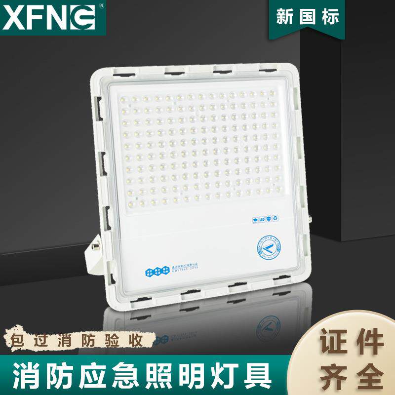 B型集电集控led应急投光灯应急灯照明灯防水灯隧道照明