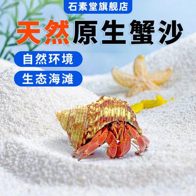 寄居蟹专用沙白沙天然尼罗