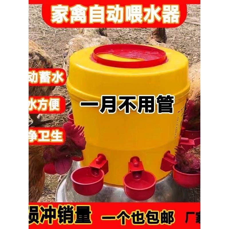 新款家禽喂鸡神器鸡鸭鹅鹌鹑鸟用鸽子喝水下饲料全自动投食饮水器,宠物/宠物食品及用品,鸟禽喂食器/喂水器,淘宝优惠券,粉丝福利购,淘宝优惠卷