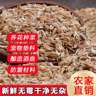 新鲜稻谷壳粗糠壳谷子壳稻糠壳动物宠物垫料保健枕头防震填充酿酒