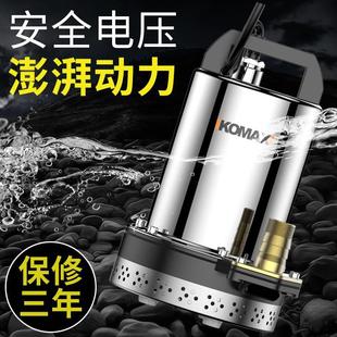 直流潜水泵高扬程12V24V48V60V伏家用电瓶车抽水泵农用小型抽 新款
