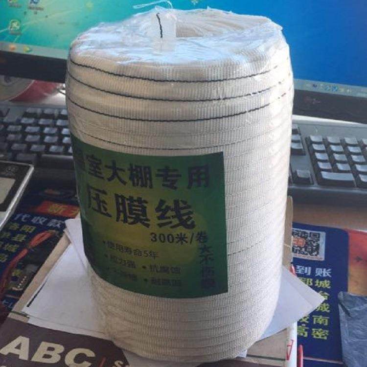 农业大棚专用压膜线白色压膜绳托膜线1.5cm宽300米长一卷,农机/农具/农膜,智能温室设备,淘宝优惠券,粉丝福利购,淘宝优惠卷