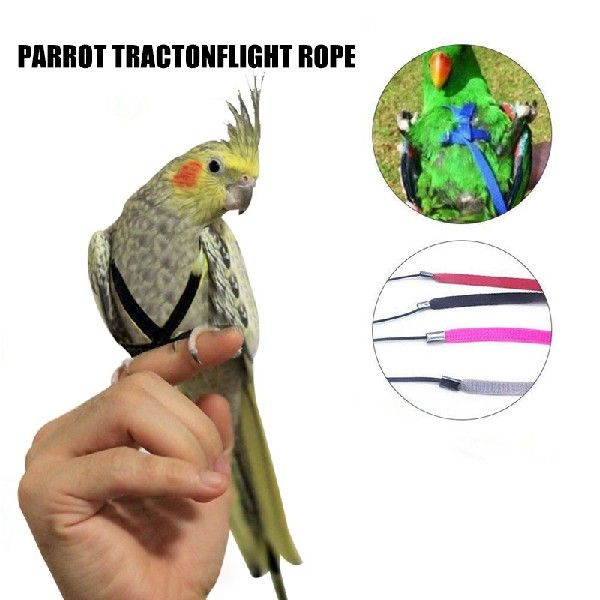 现货速发Adable Prots Bird He Lsh Ati-Bite Trig