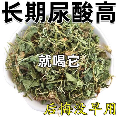 尿酸高非降酸茶痛风专用手脚指关节疼喝什么菊苣栀子车前草养生茶
