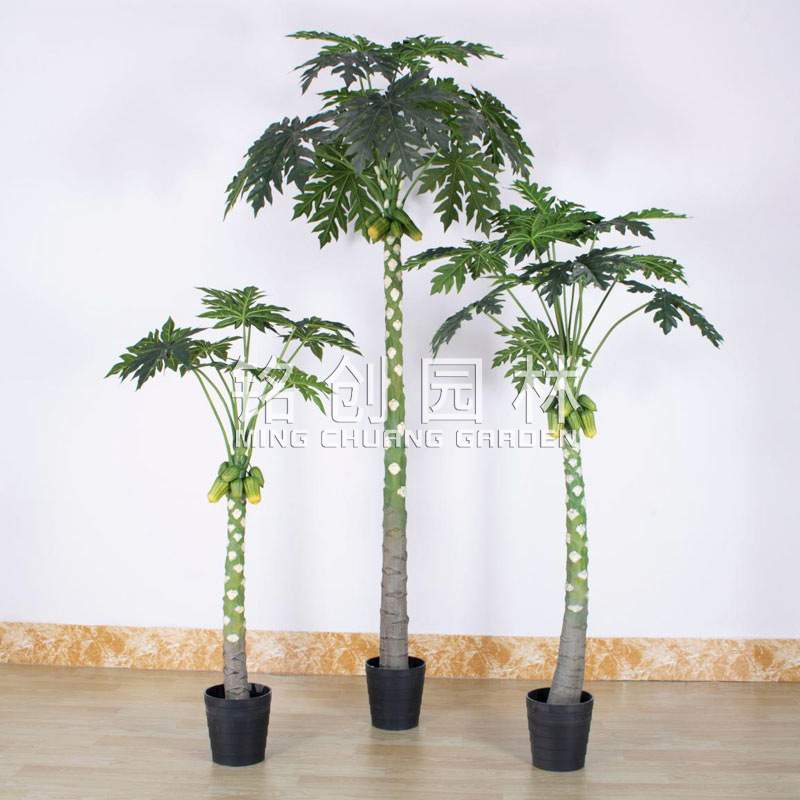 仿真植物万寿木绿植室内盆栽 造景装饰落地大型仿真果树木瓜树