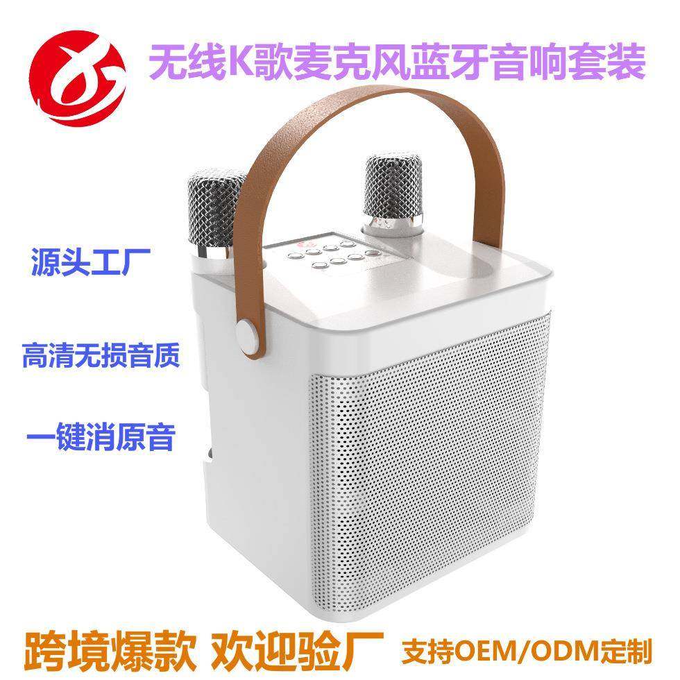 YS203升级版k歌音响家庭影院ktv迷你麦克风双话筒S882蓝牙无线音