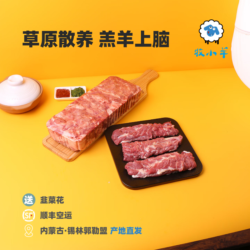 牧小羊内蒙古羔羊上脑草原散养