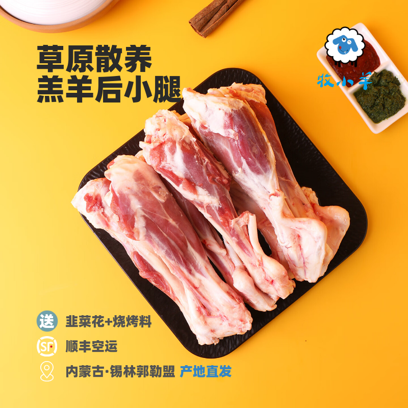 牧小羊内蒙古羔羊后小腿产地直发