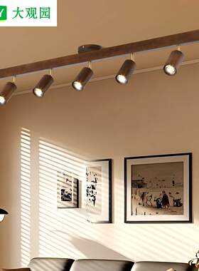 中古风客厅吸顶灯复古胡桃木纹客厅过道背景墙护眼明装无主灯176L