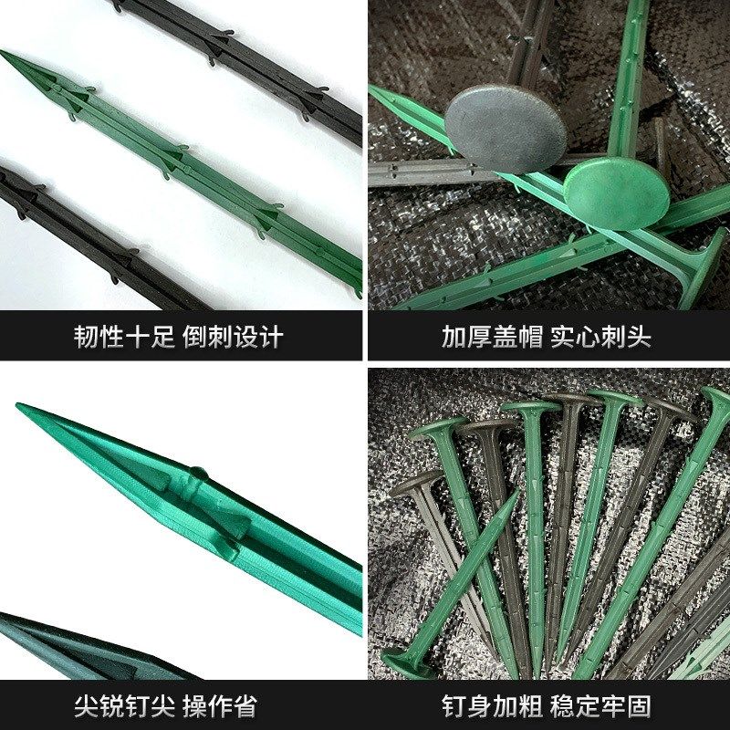 加大除草布大棚黑色帐篷钉农田地钉插土地盖膜遮阳网倒Z刺农用地,鲜花速递/花卉仿真/绿植园艺,其它园艺用品,淘宝优惠券,粉丝福利购,淘宝优惠卷