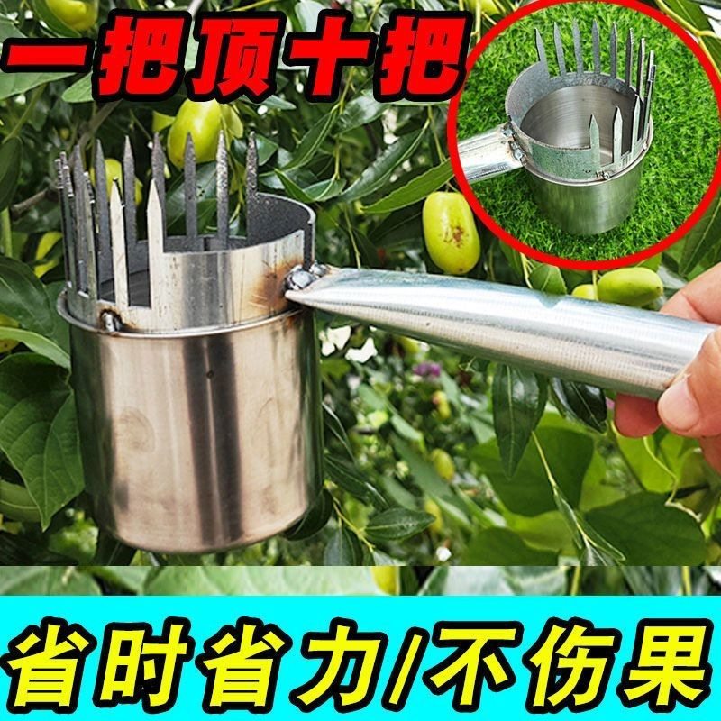 加厚2024新款酸枣不锈钢摘果器采果山枣柏树神器小枣工具扎手