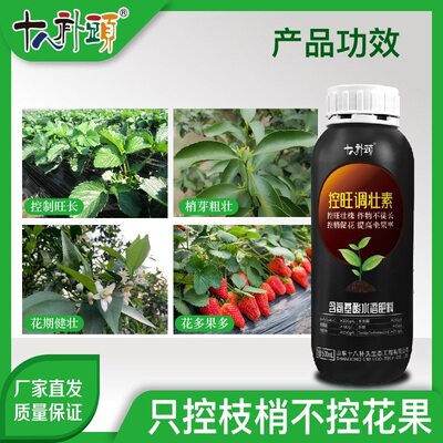 控旺调壮素控旺长壮株控稍促花提高坐果磷酸二氢钾稀磷酸钾源头