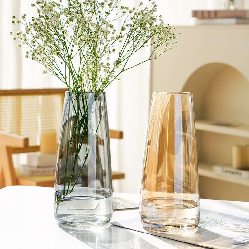玻璃清新花瓶摆件简约客厅透明雪柳水培插花花器桌面