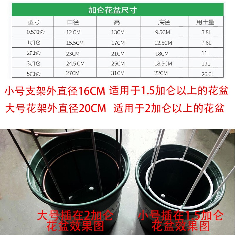速发铁艺植物爬藤架铁线莲小支架月季玫瑰攀爬花架爬藤支架造型花