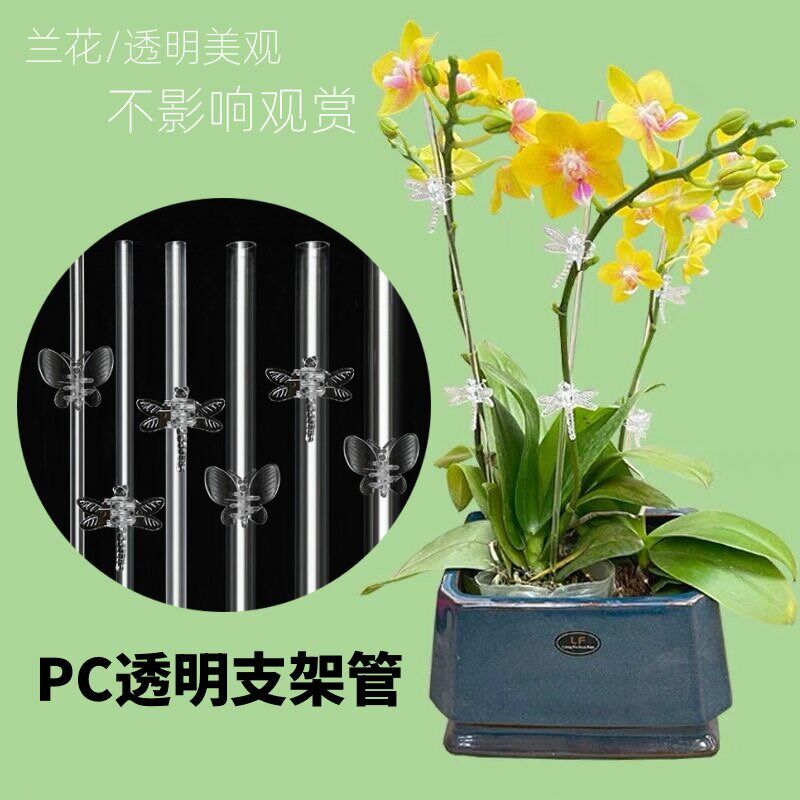 速发兰花植物固定杆支架管子花卉防倒插杆造型爬藤架蝴蝶兰透明支
