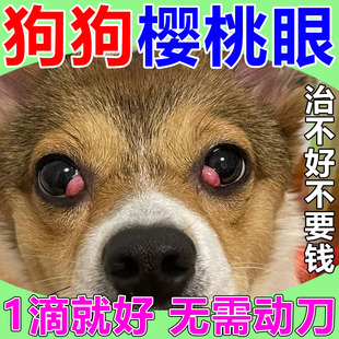 速发樱桃眼滴眼液第三眼睑息出去除发屎多腺体脱肉眼睛眼红眼药水